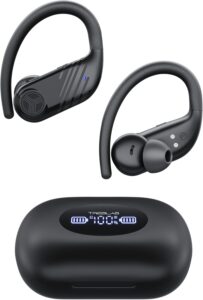 Ear-Hook Earbuds
